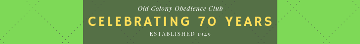Celebrating 70 years.png