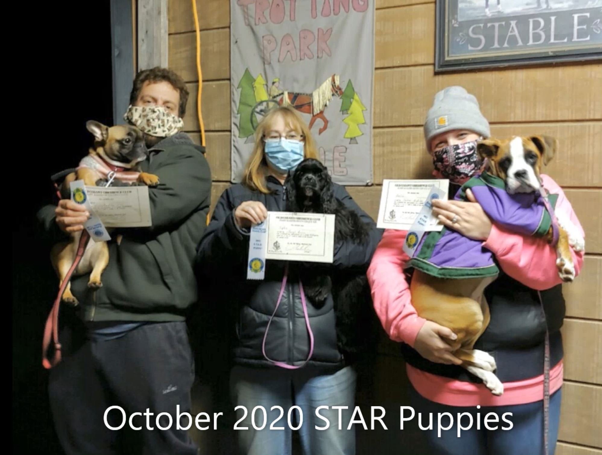 Oct2020 STAR puppies.JPG