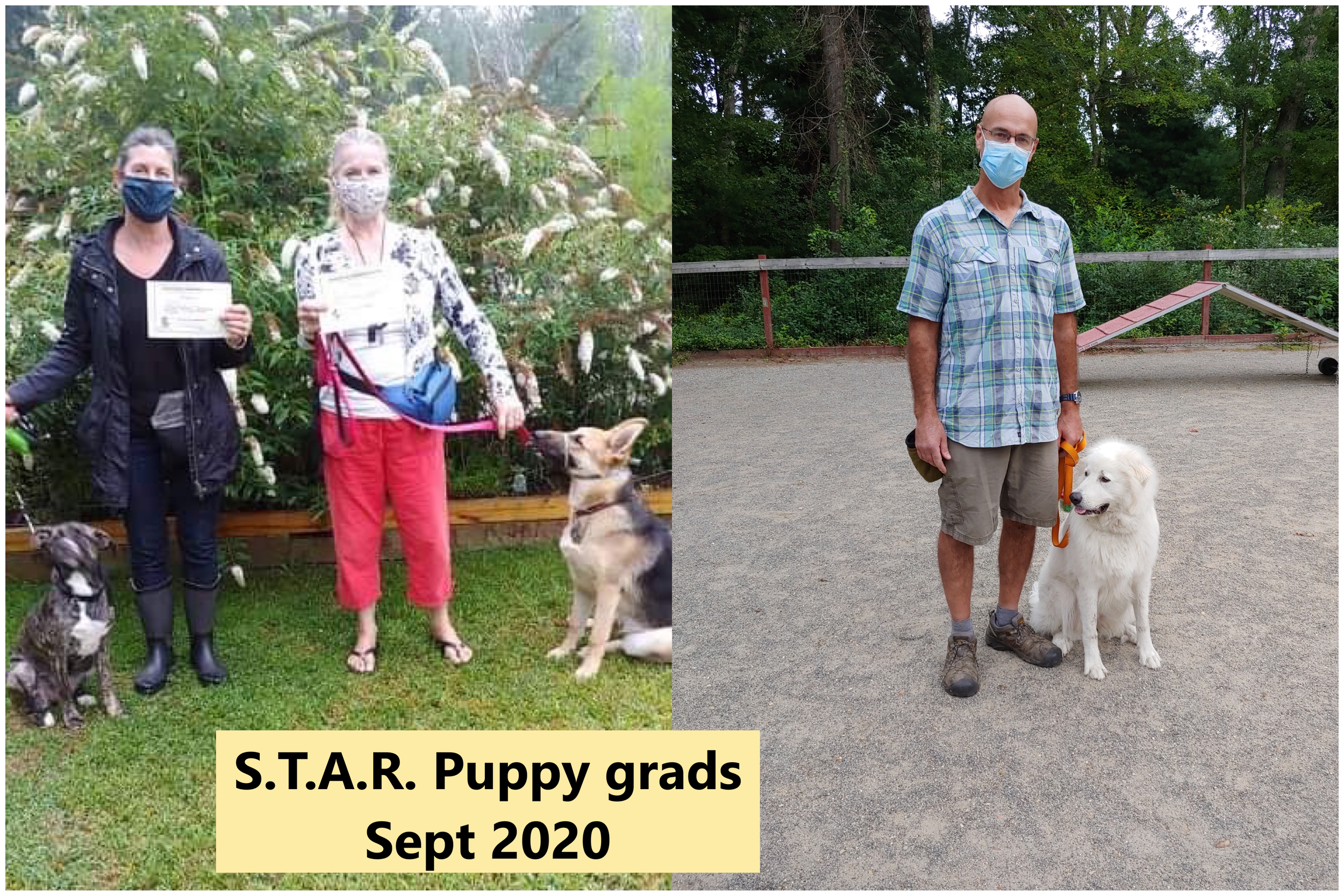 STAP puppy grads Sept 2020 label.png
