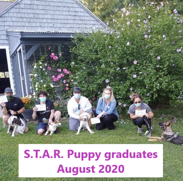 August 2020 Star Puppies - Anthony and Pearl - Evan and Colby - Adam Health and Ghost - Casey and Casha version B.png
