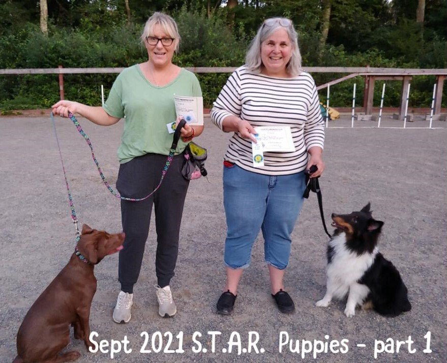 STAR Puppy grads Sept 2021 pt 1 jpg.jpg