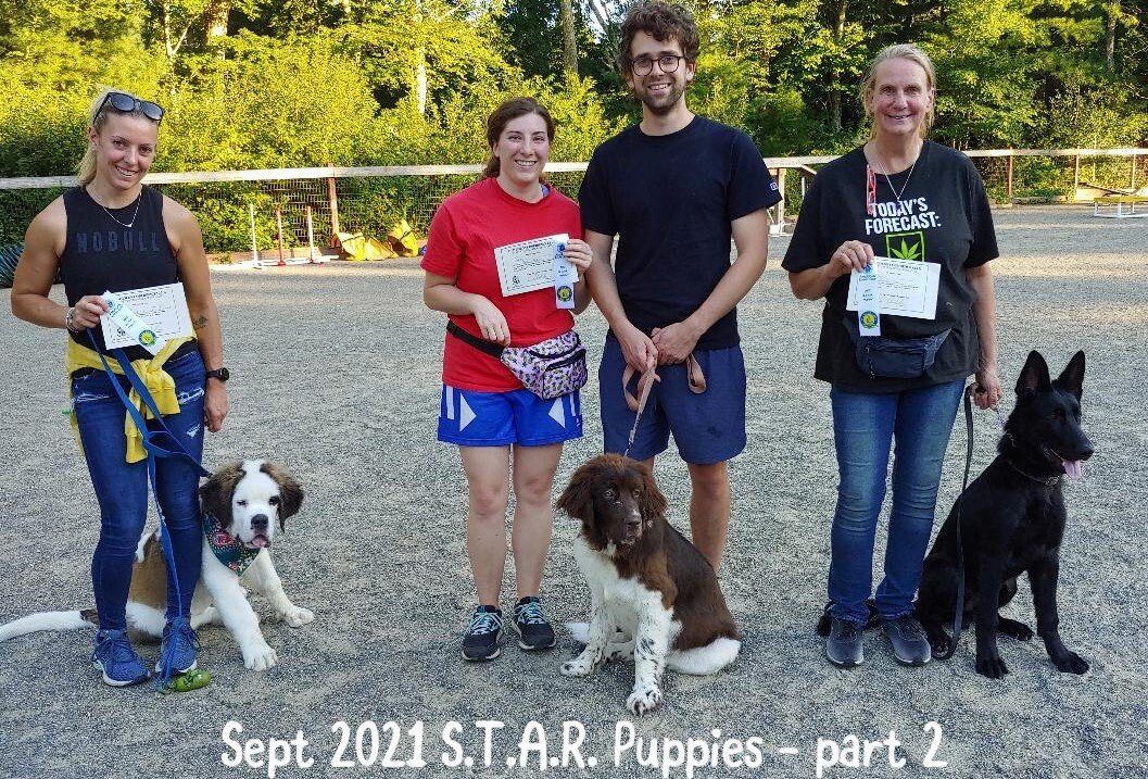 STAR Puppy grads Sept 2021 pt 2 jpg - Copy.jpg