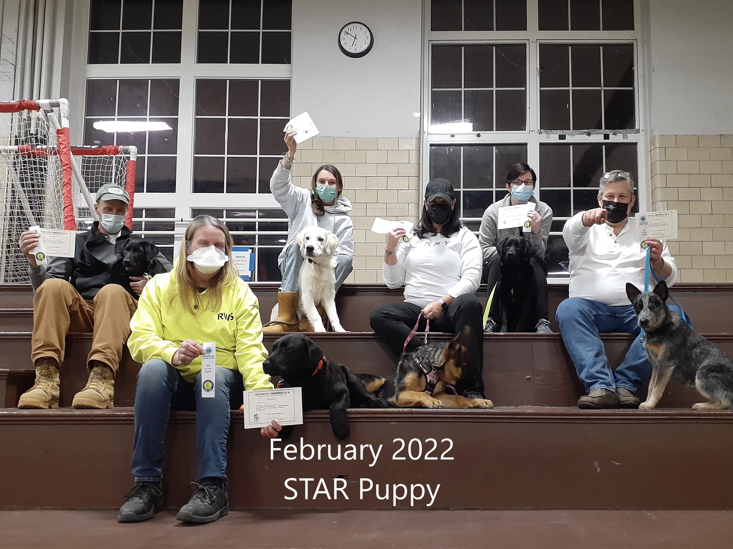 Feb 2022 STAR puppy.jpg