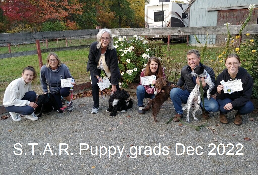 STAR puppy grads Dec 2022 words.jpg