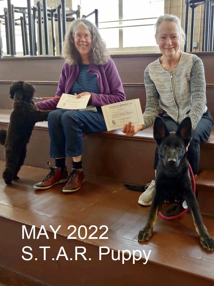 May 2022 STAR Puppy labeled.jpg