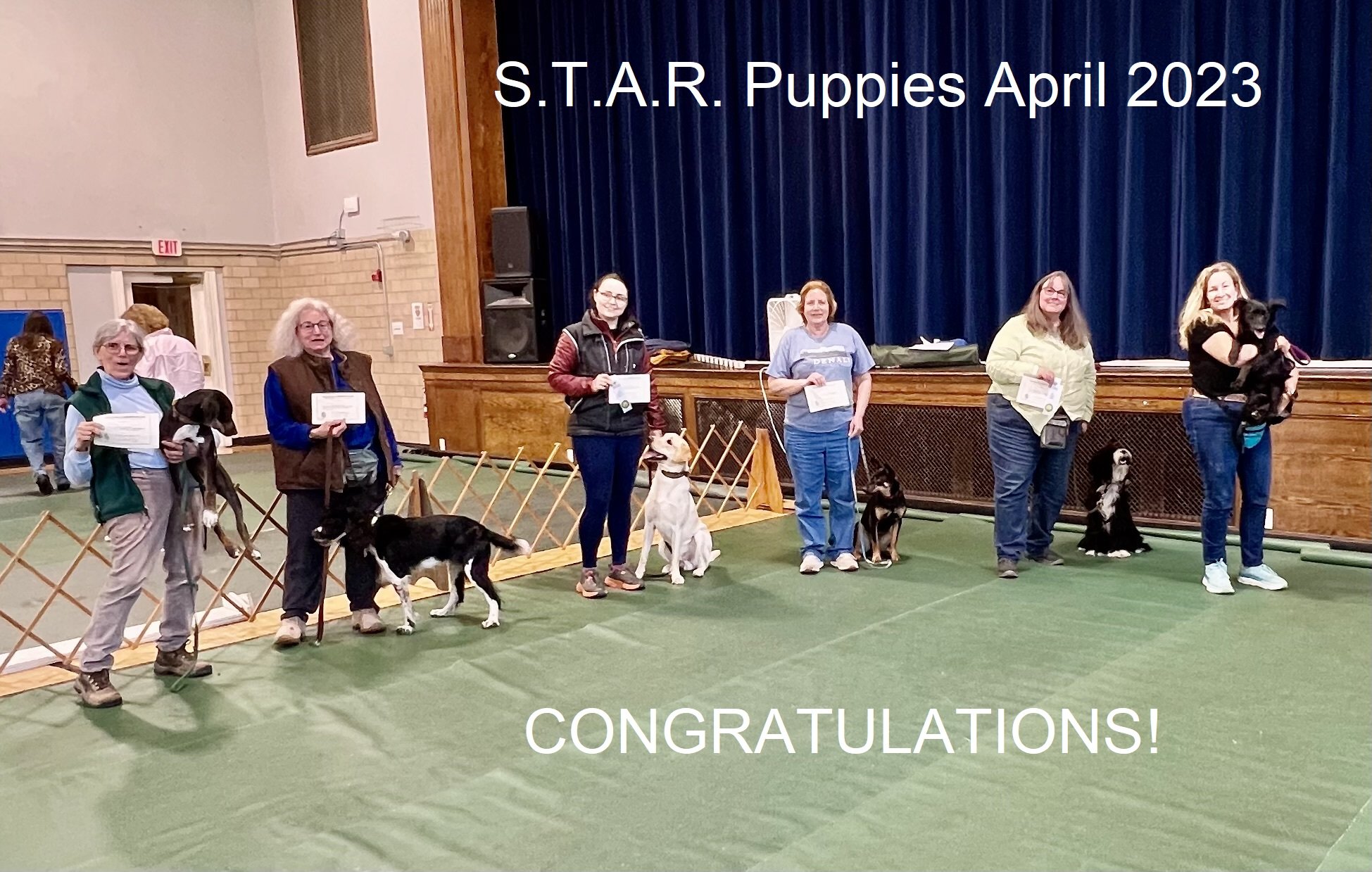 Apr 2023 STAR puppies.jpg