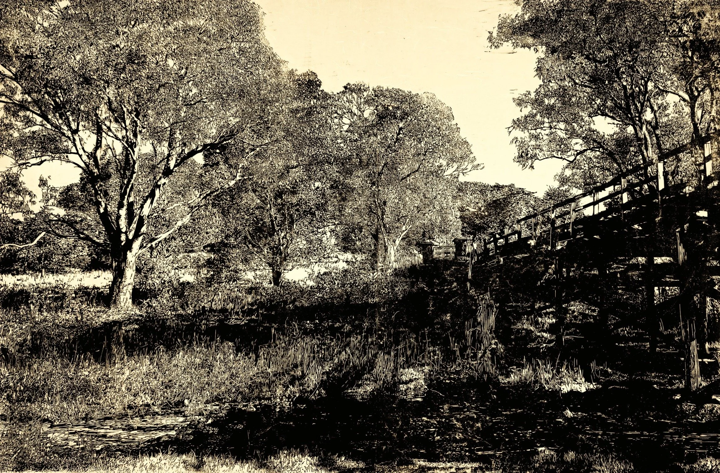 Western Amanda_Held by time_103 x 140cm_2MB_9216.jpg