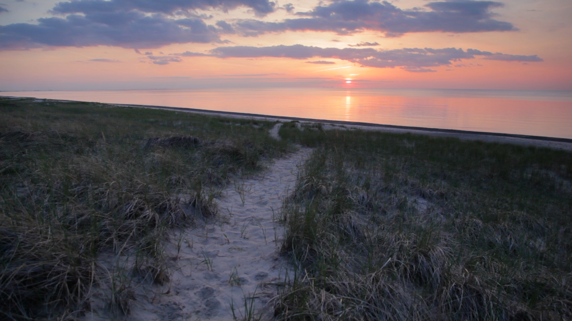 Beach_Path_B4.jpg