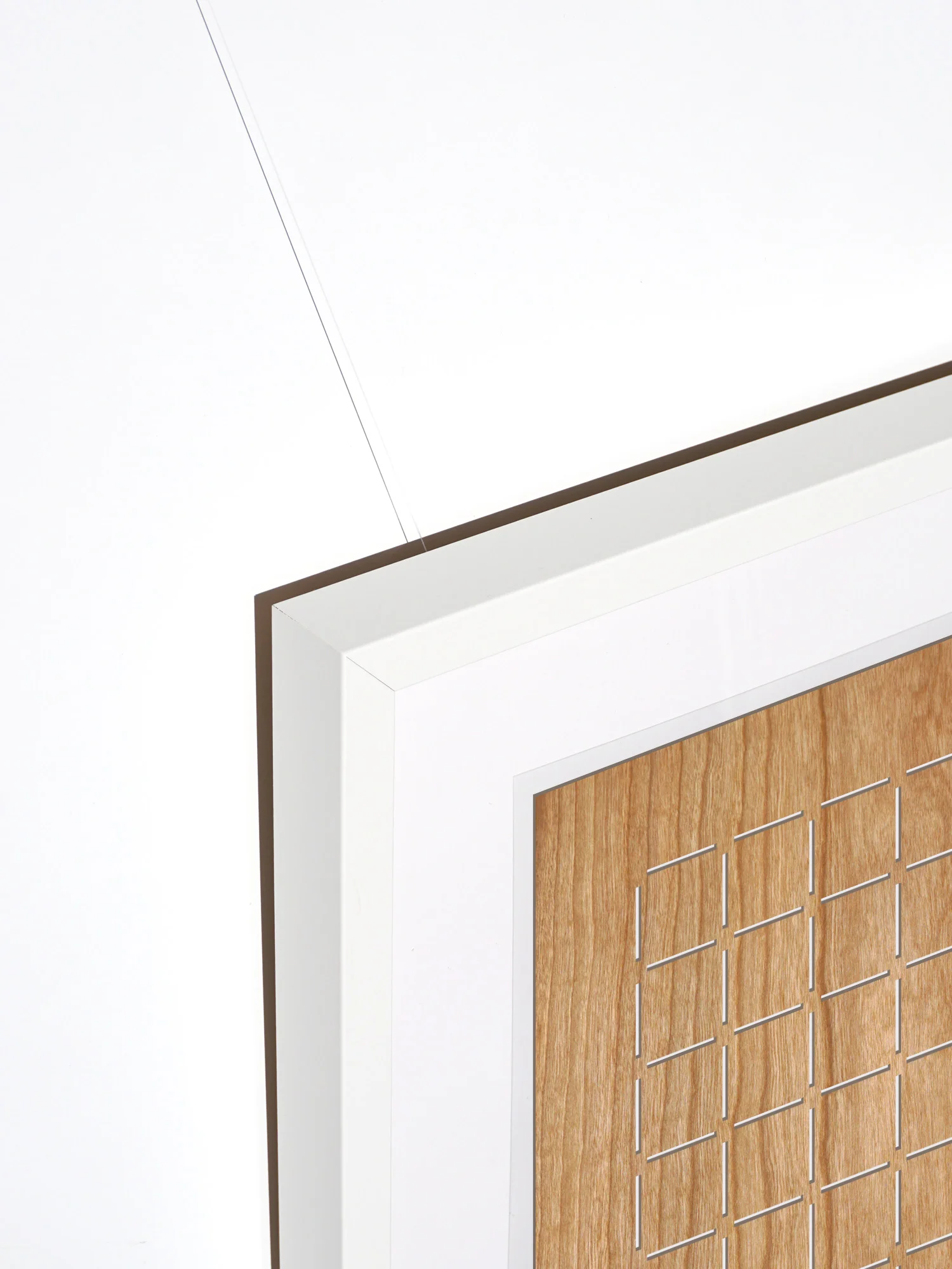graphic_work_cherry_detail6.jpg