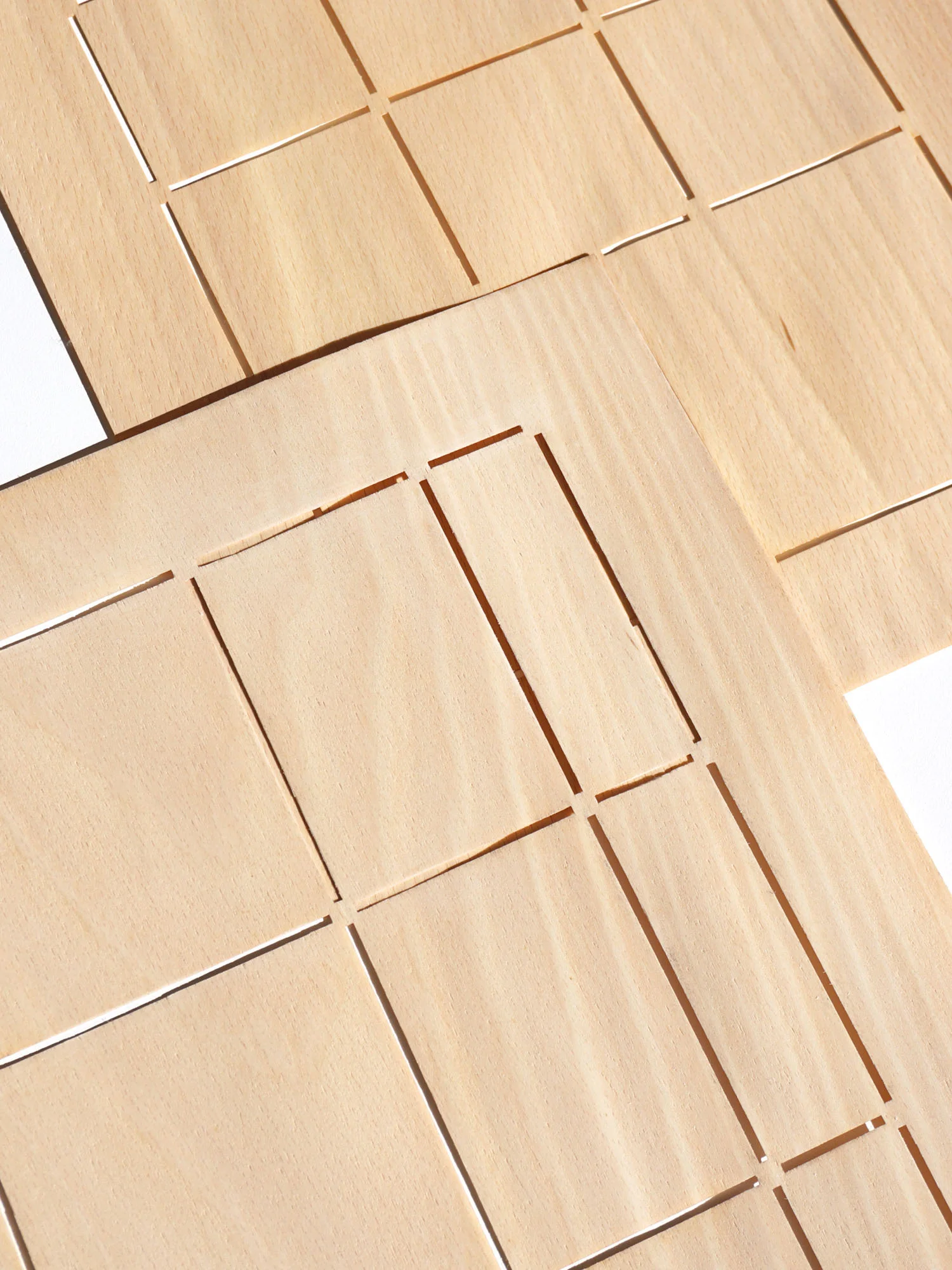 graphicwork_beech_detail.jpg