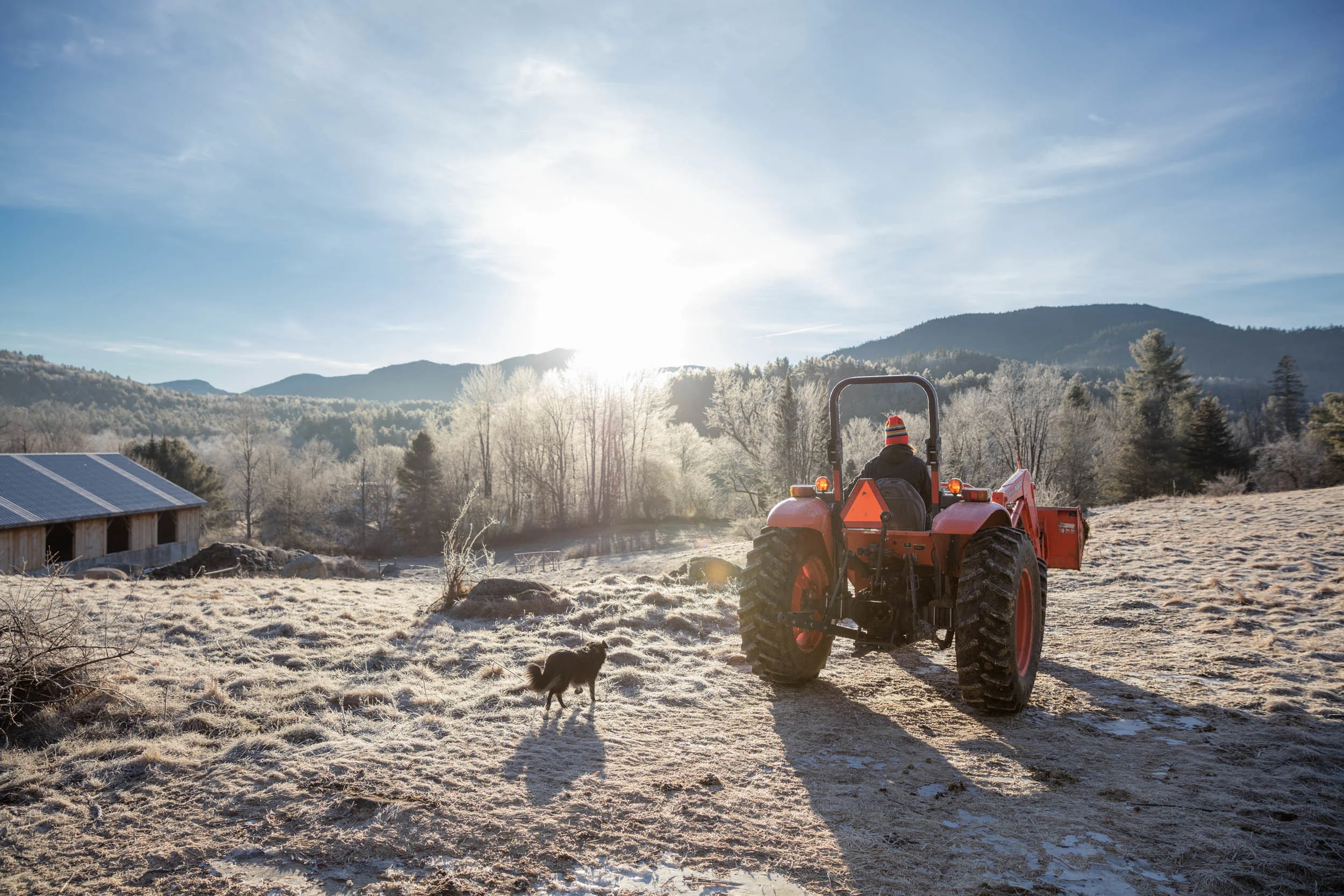 GALLERY — Sugar House Creamery