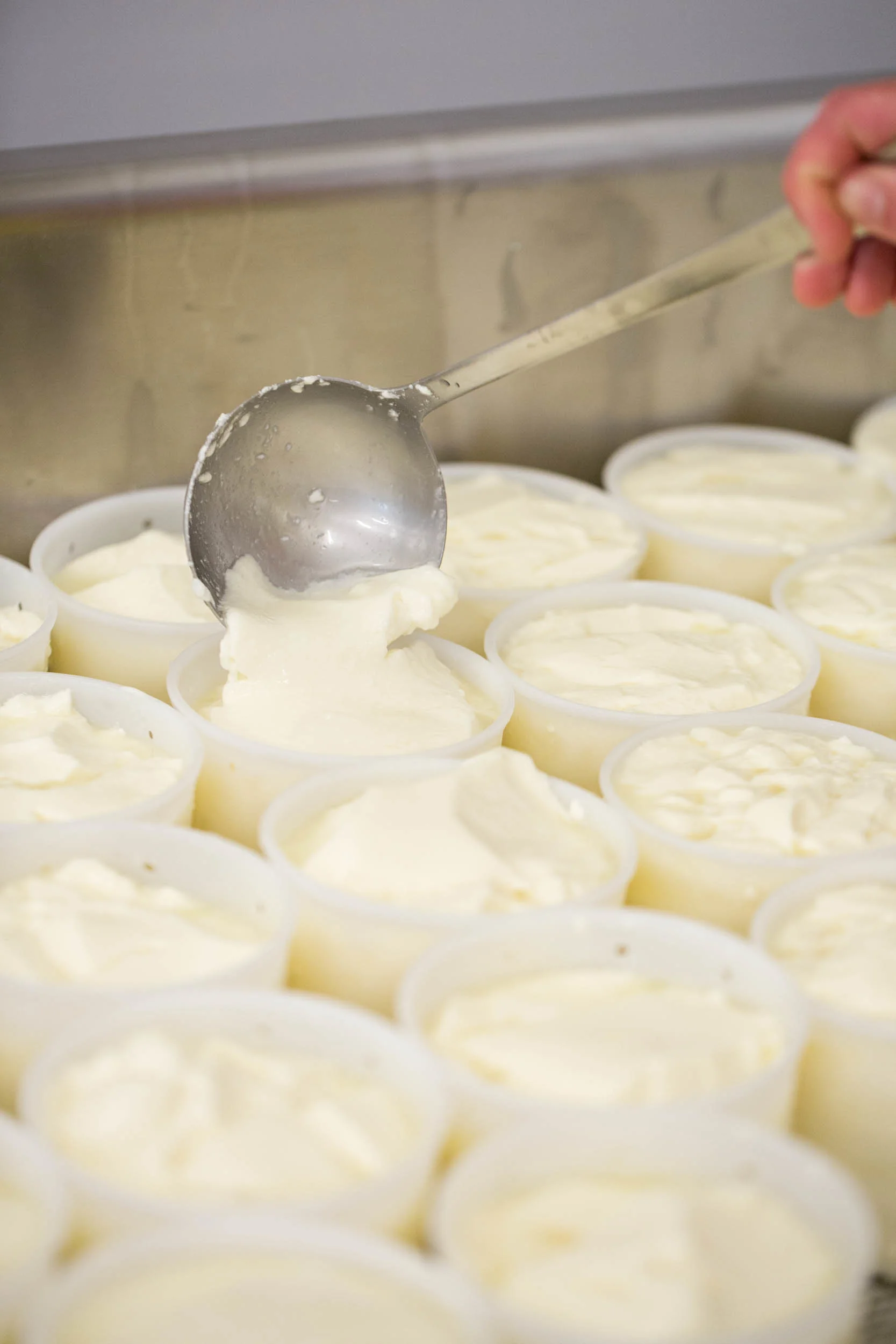 GALLERY — Sugar House Creamery