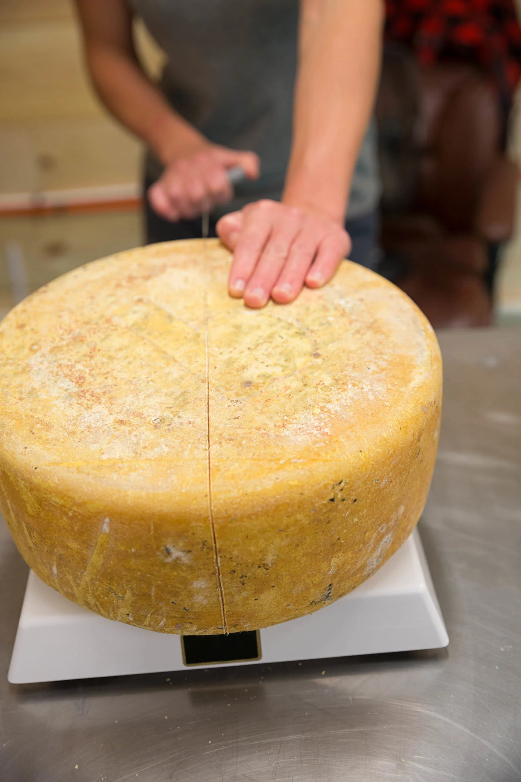 GALLERY — Sugar House Creamery