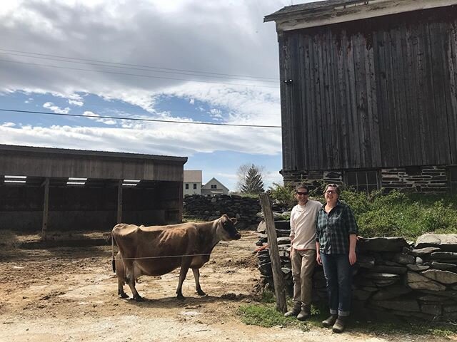 Last week we drove to West Pawlet, VT and picked up some new additions to our herd from the beautiful/bucolic/pastoral @waywardgoosefarm 💚...that&rsquo;s right, we now have a Jersey &mdash;&gt; raw milk customers better watch that creamline 📏🥛🙌🏻