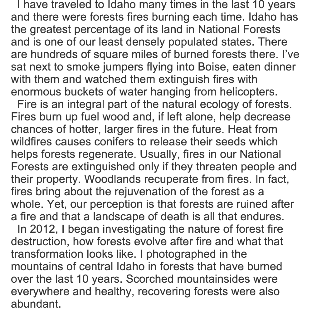 frst fire stmnt text 1000 px sq.jpg