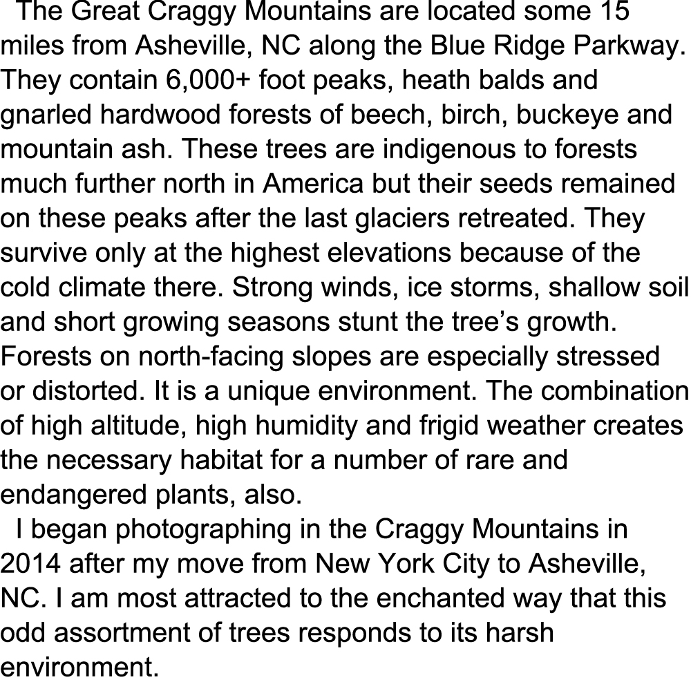 craggy stmnt_8-19.jpg