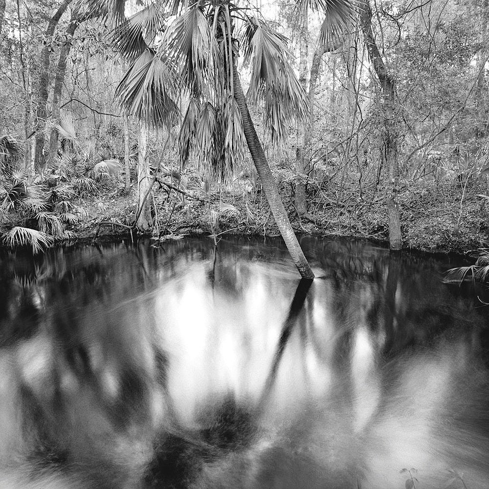 Wacissa Sinkhole