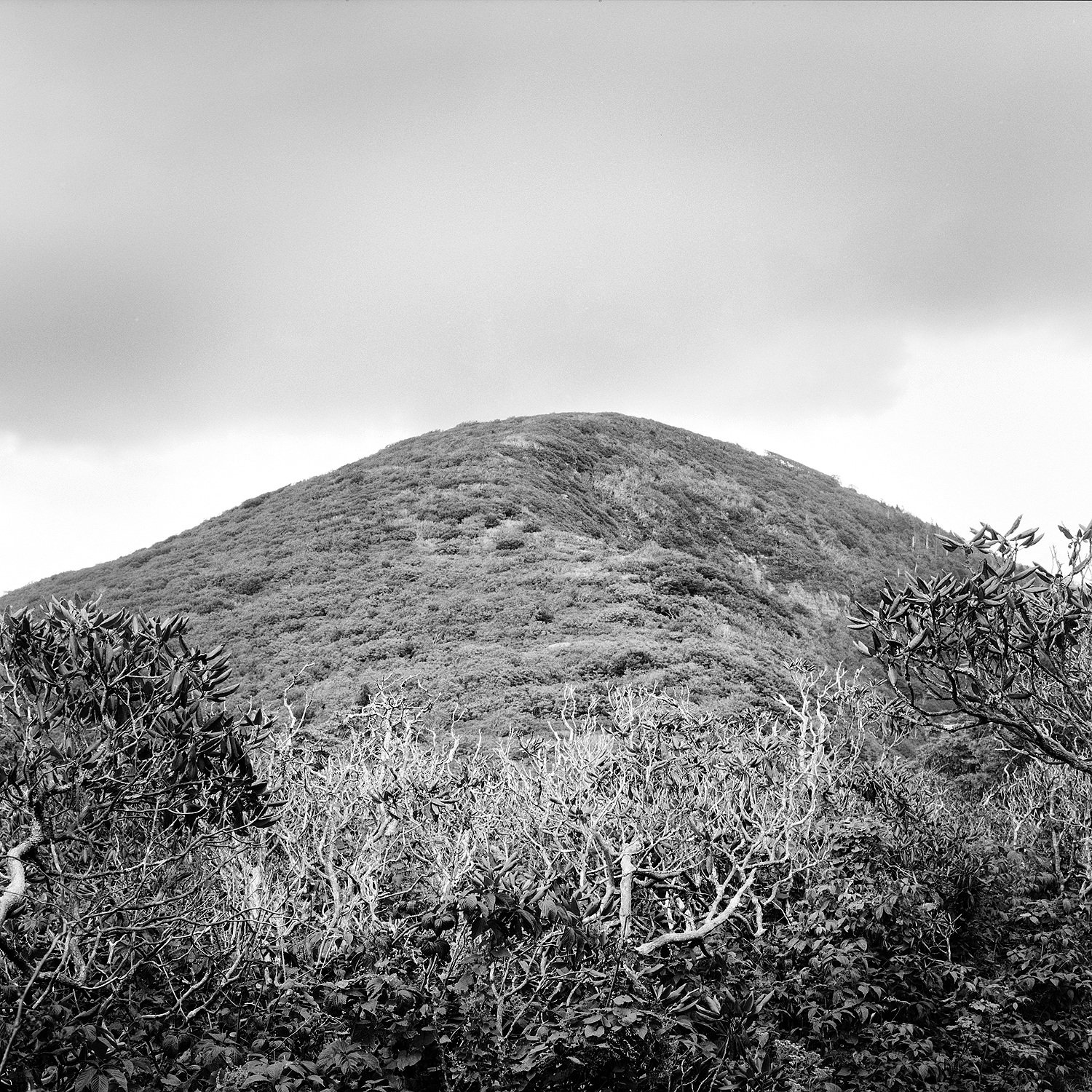 Craggy Dome #2