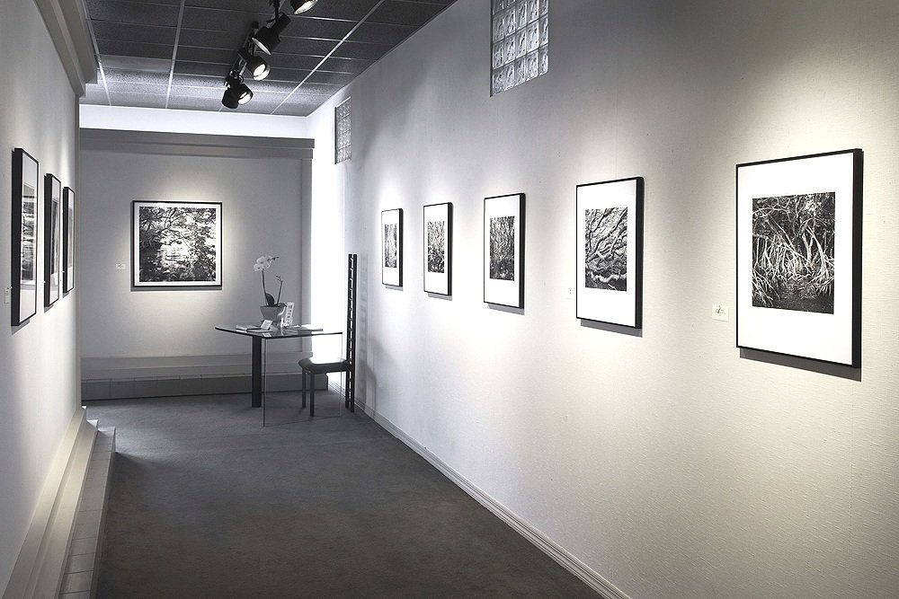 "Primitive Florida", Clayton Galleries, 2010