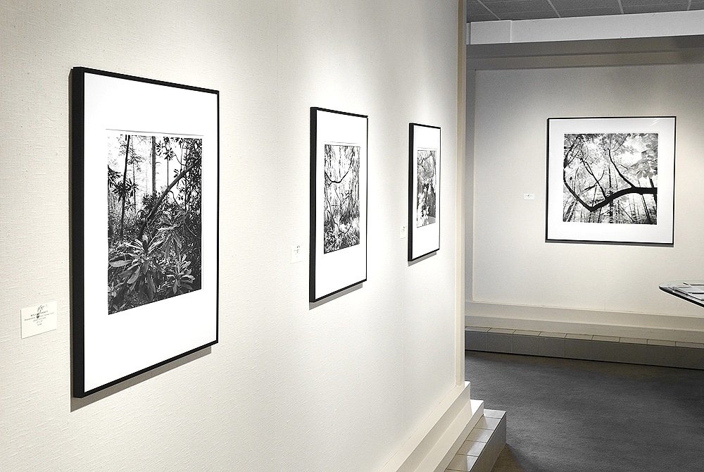 "Recent Landscapes", Clayton Galleries, 2007