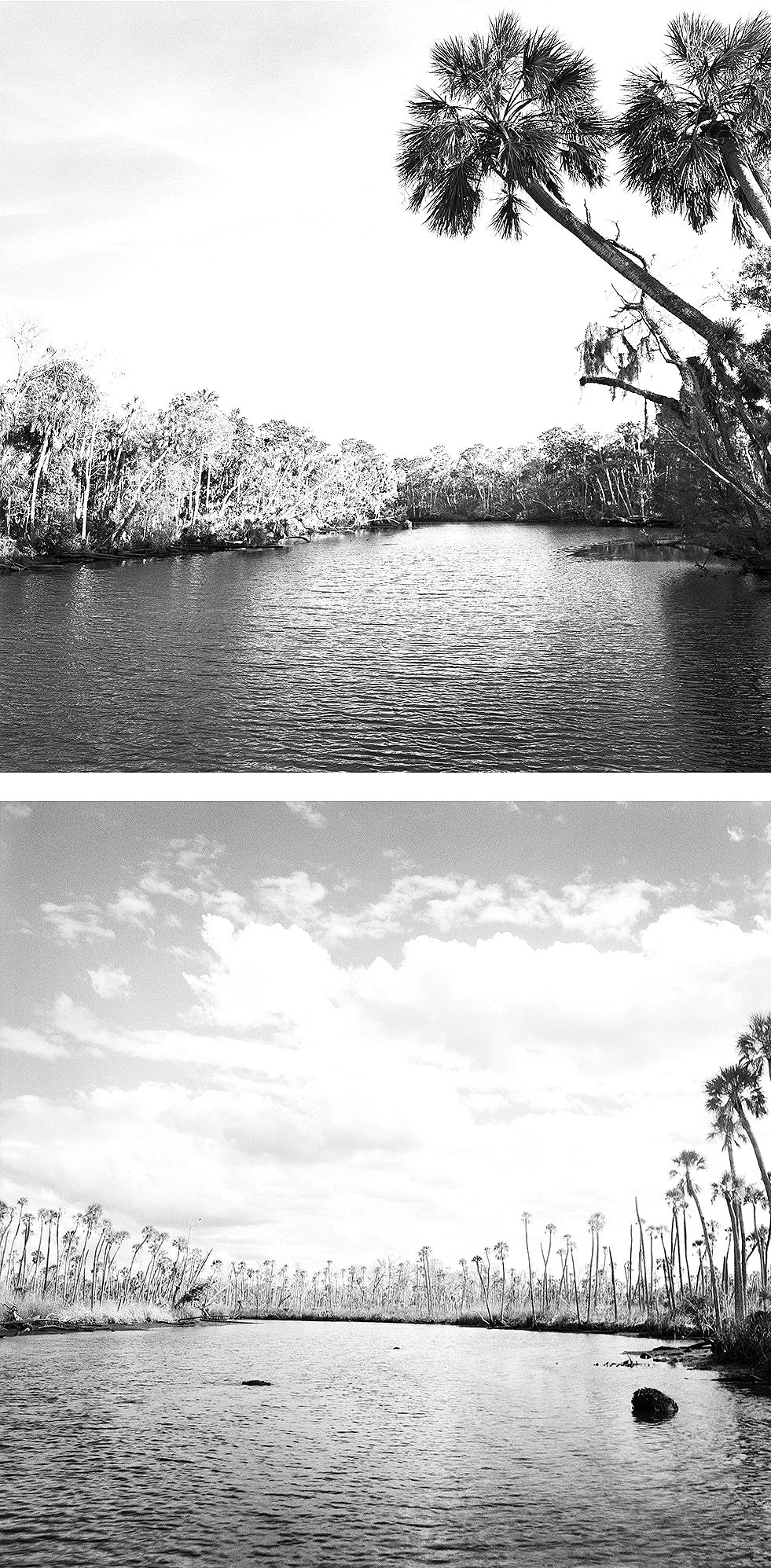 View Upstream 2004, 2022