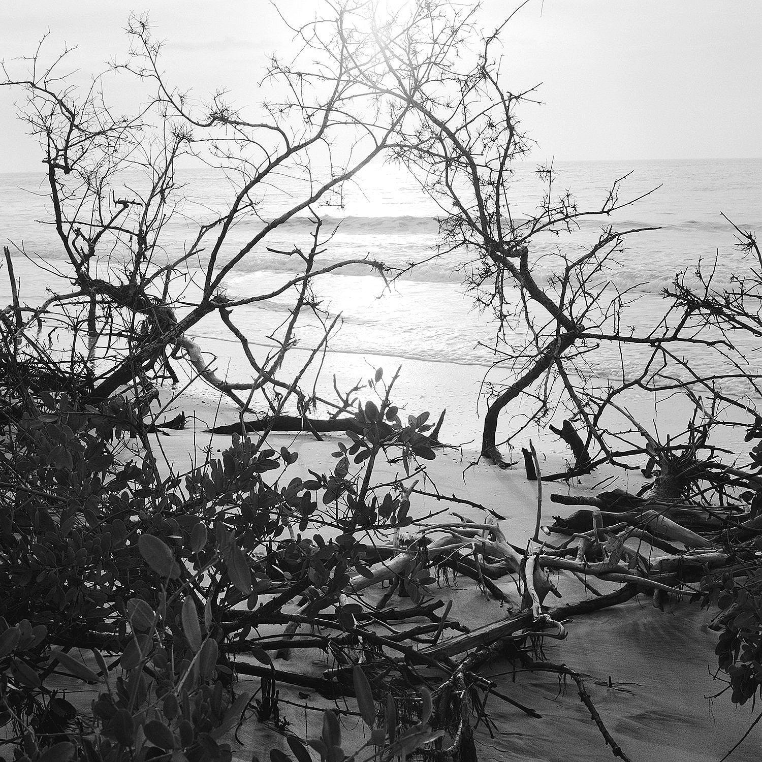Erosion, Clearwater Beach