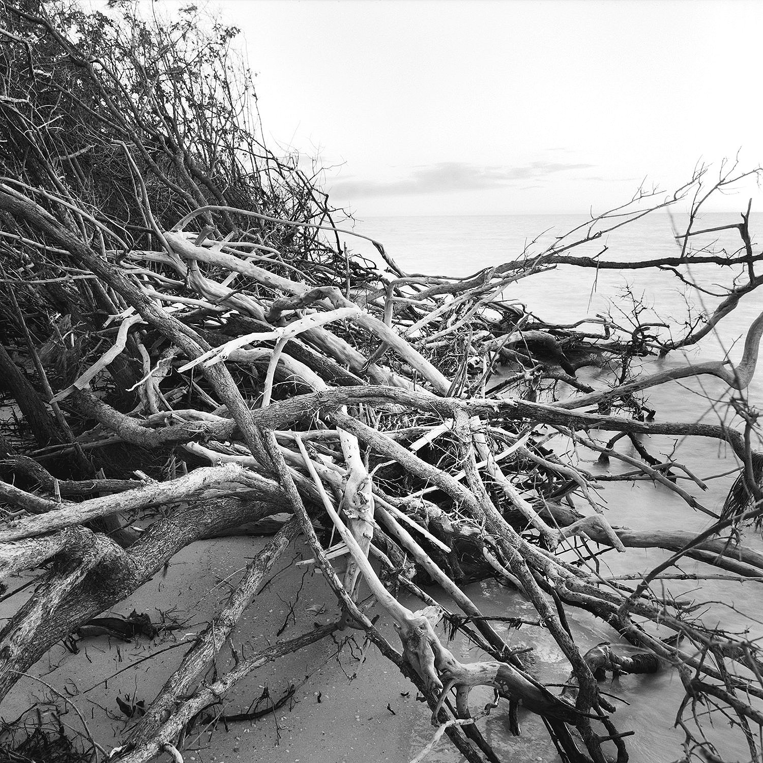 Erosion, Honeymoon Island