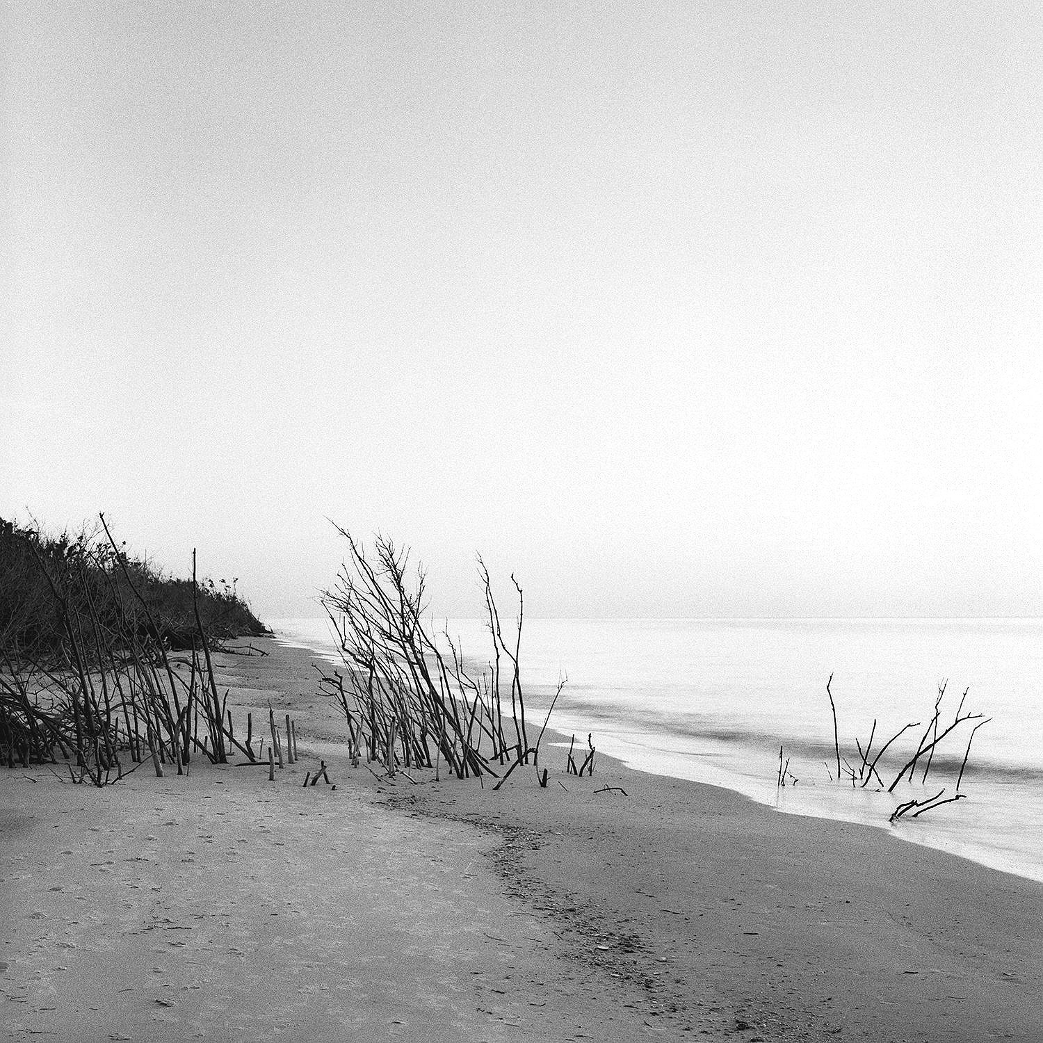 Erosion, Fort DeSoto