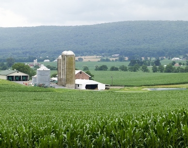 Farm.jpeg