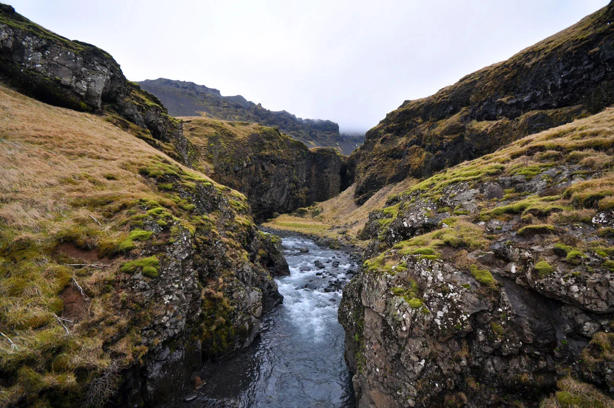 DSC_0019-(2).jpg