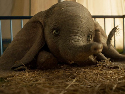 **Copyright and Property of Walt Disney Studios Motion Pictures
