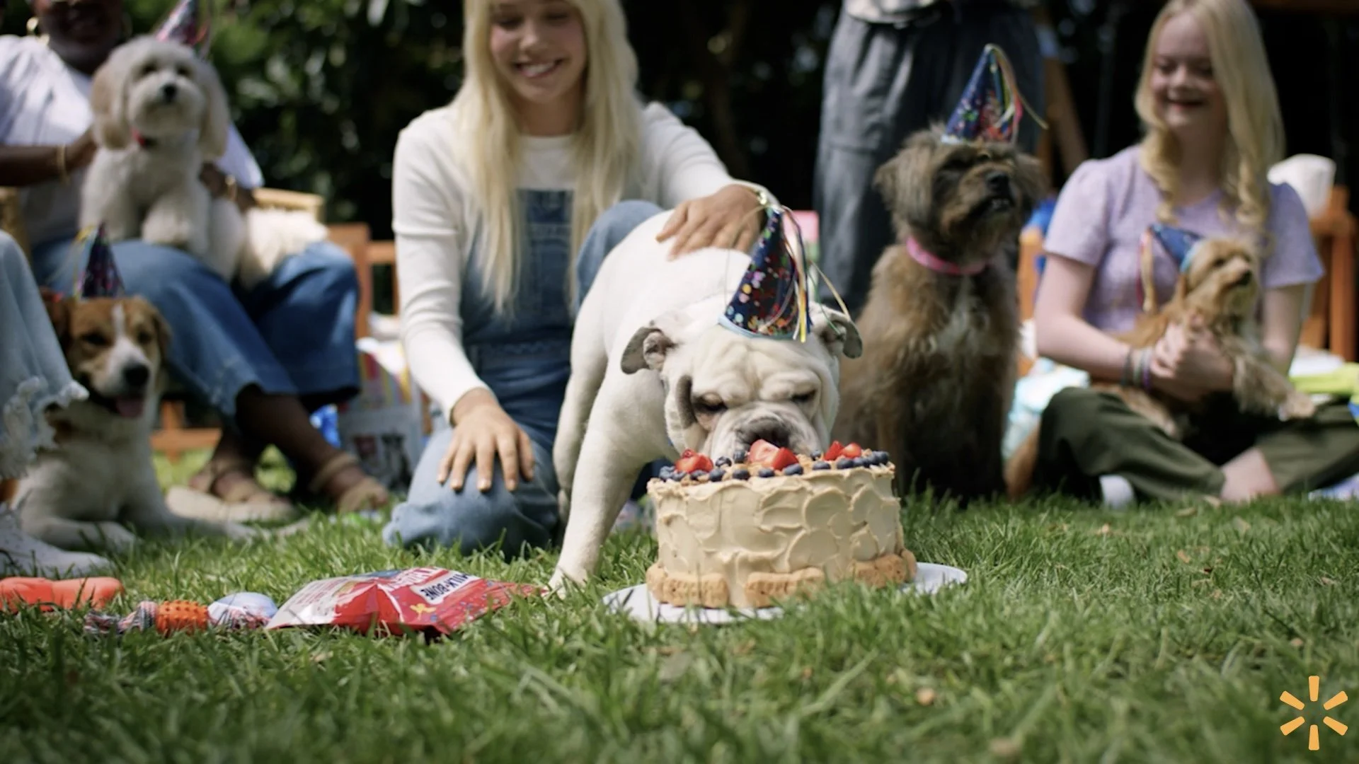 Celebrate and Shop│Walmart