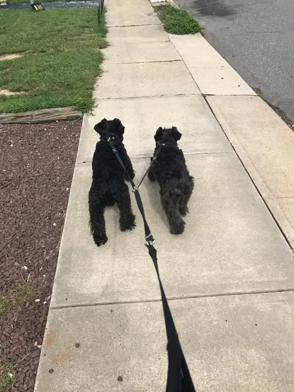 Mia & Winston.jpeg