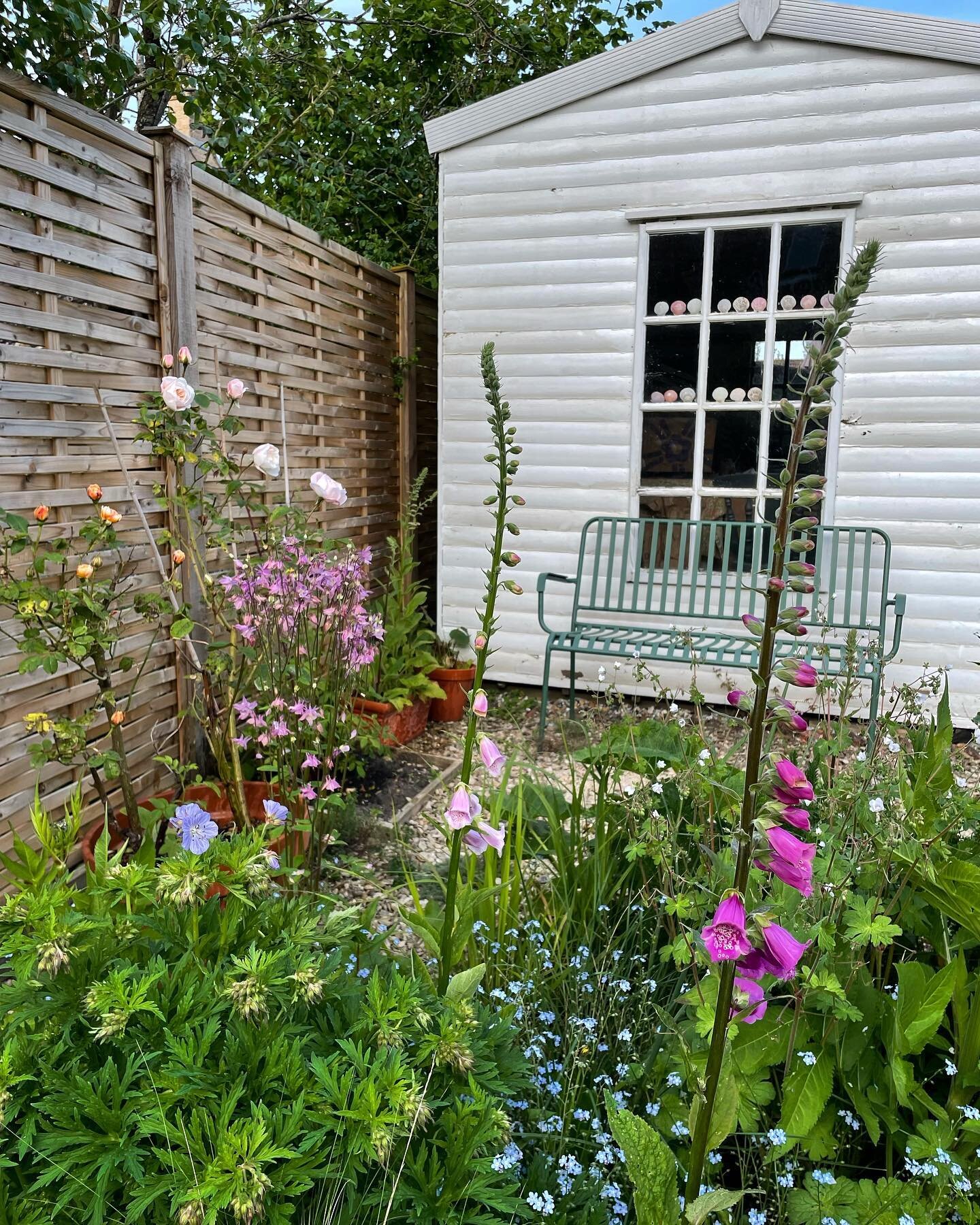 I had a rare weekend in the garden. Between reading under the plum tree to gardening sunrise to just now, I feel so happy ALL the plants are out and the front garden too is planted and ready for Summer. 

I hate to sound so sickeningly happy, because