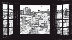 Urban-Birds6.gif