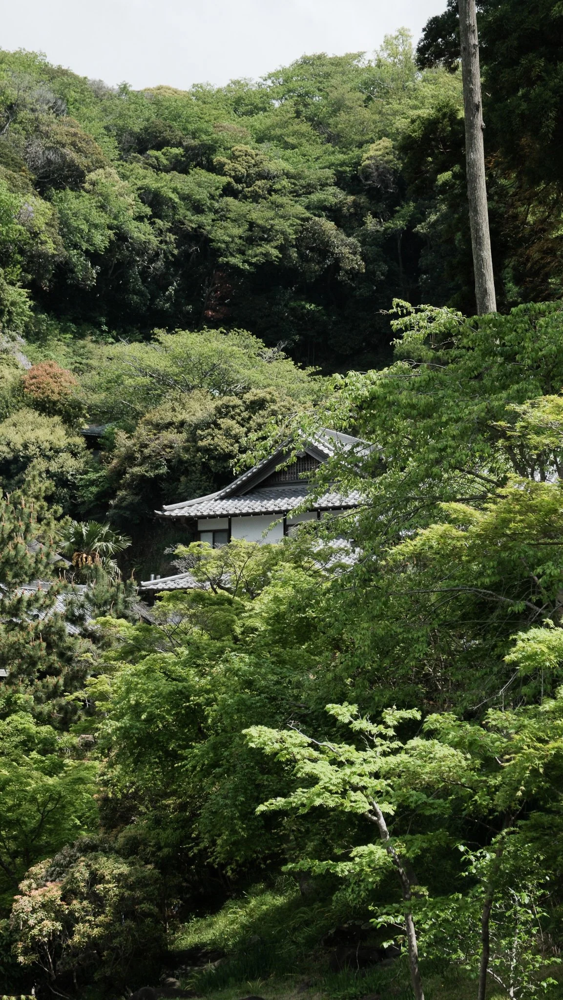 DSCF1514.jpg