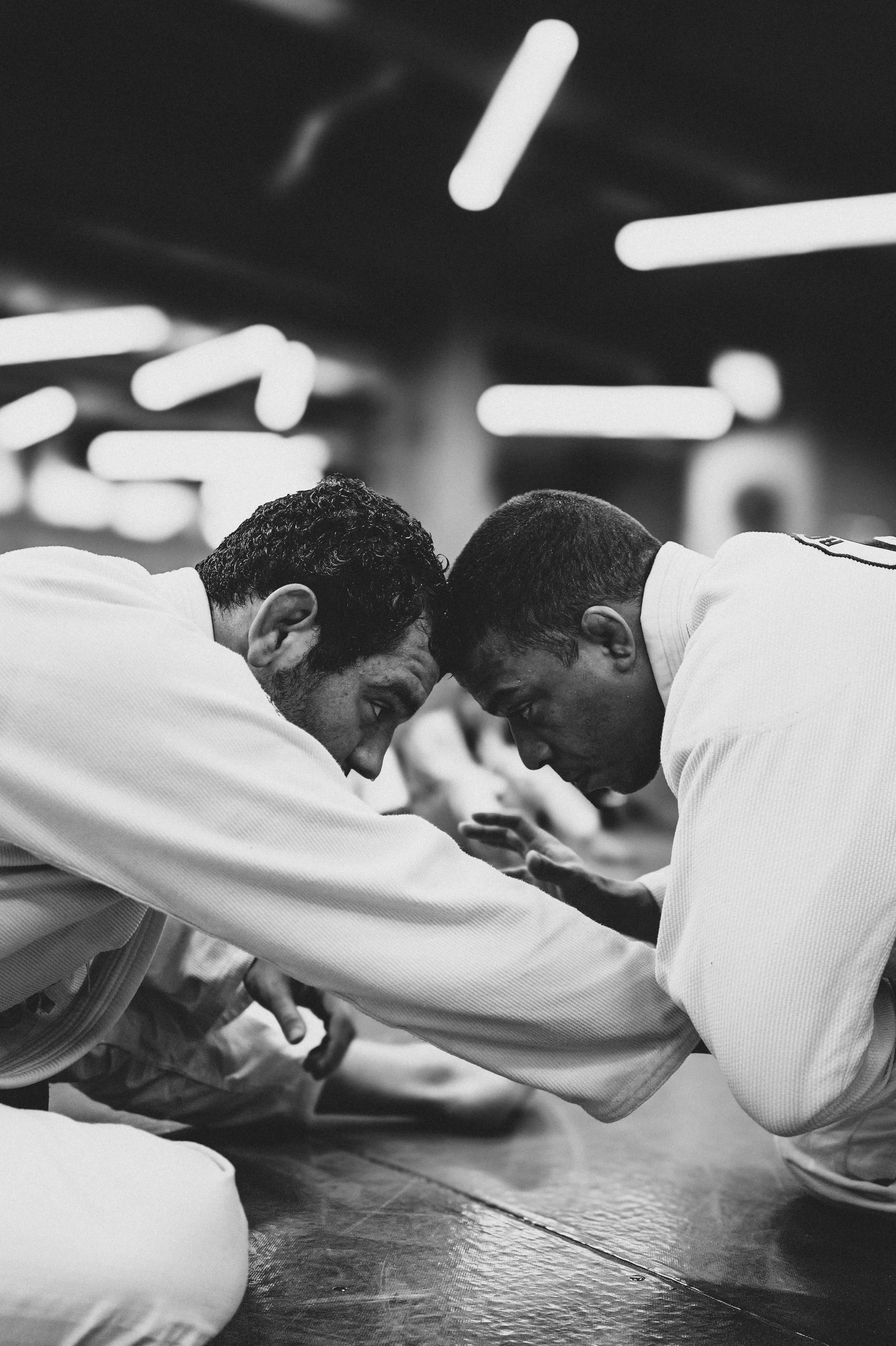 Rayron Gracie, IBJJF Mundials Preparation 2024
