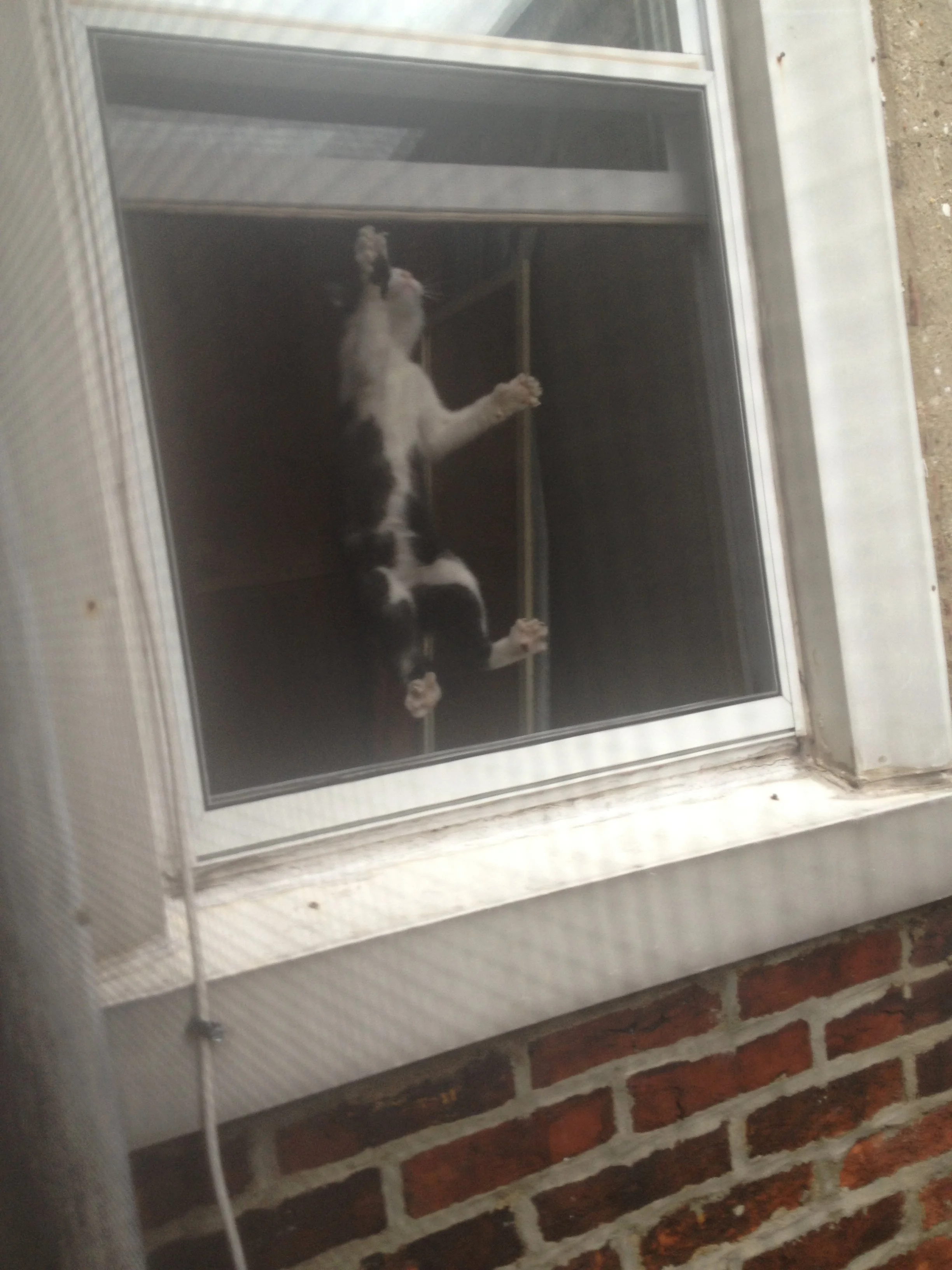 IMG_8269.jpeg