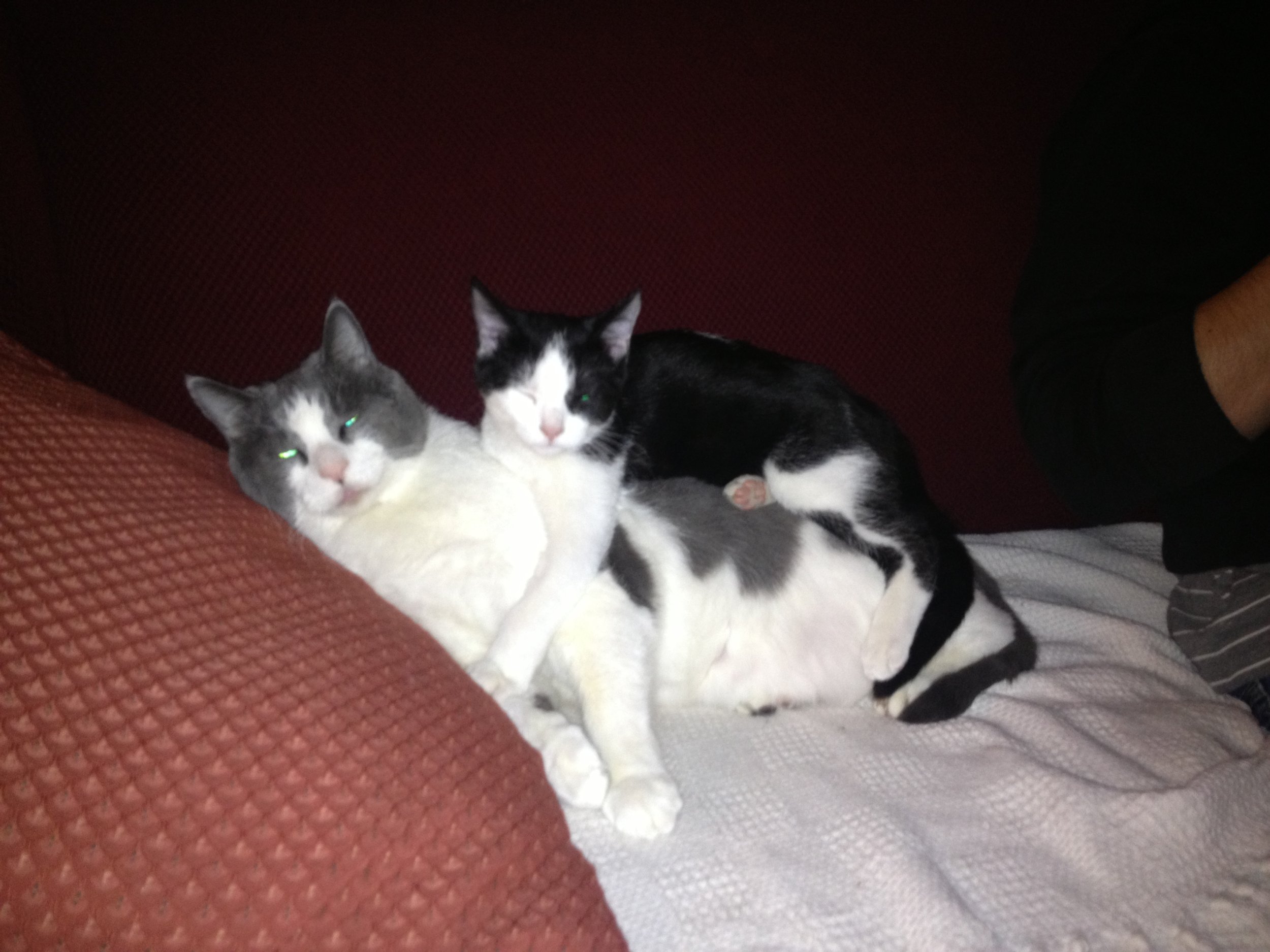 IMG_8272.jpeg