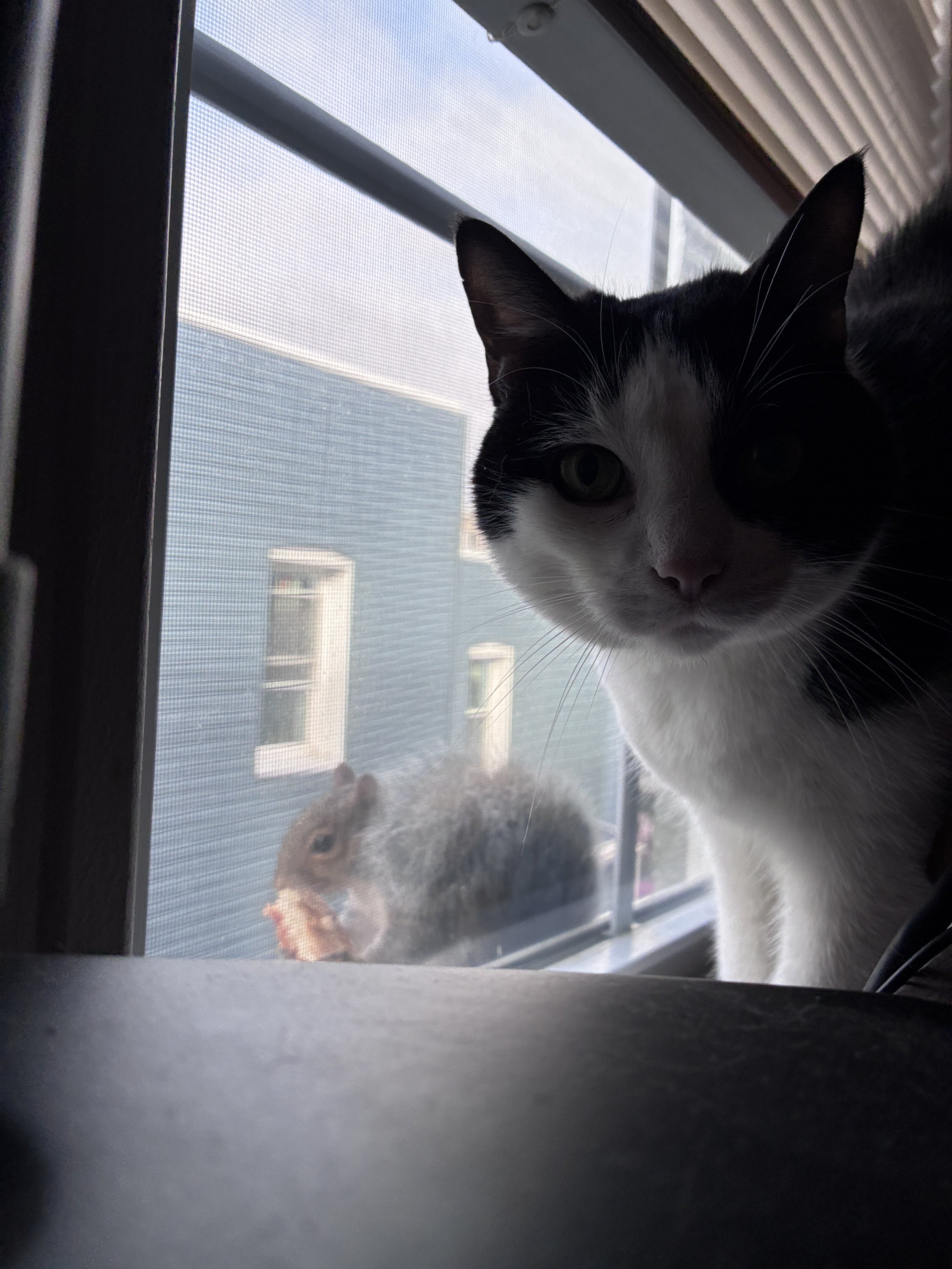 IMG_5178.jpeg