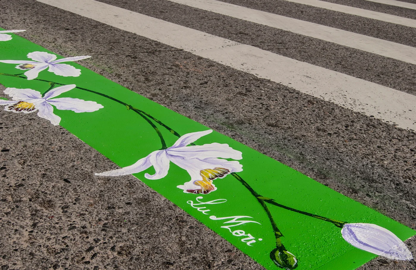 Arte-na-faixa-Lu-Mori-Florianopolis.jpg
