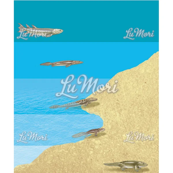 scientific-illustration-geography-natural-history-Lu-Mori-evolution-fish-reptile.jpg