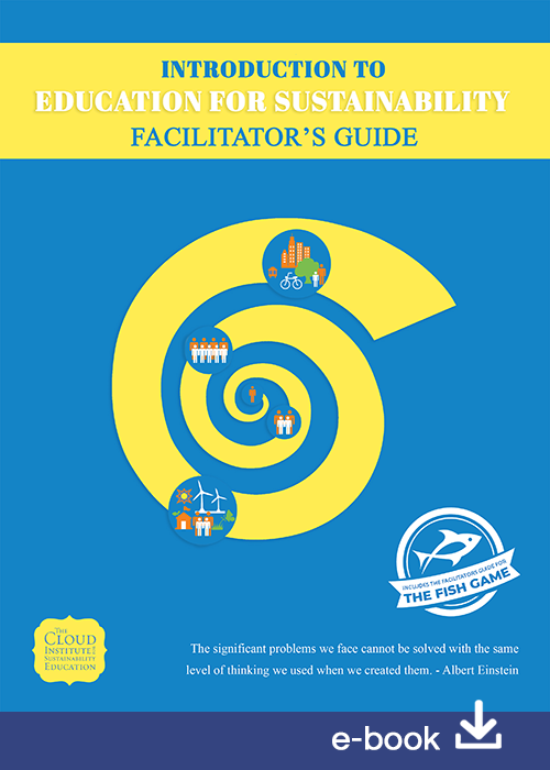 Intro to EfS Cover 110819 - ebook.png