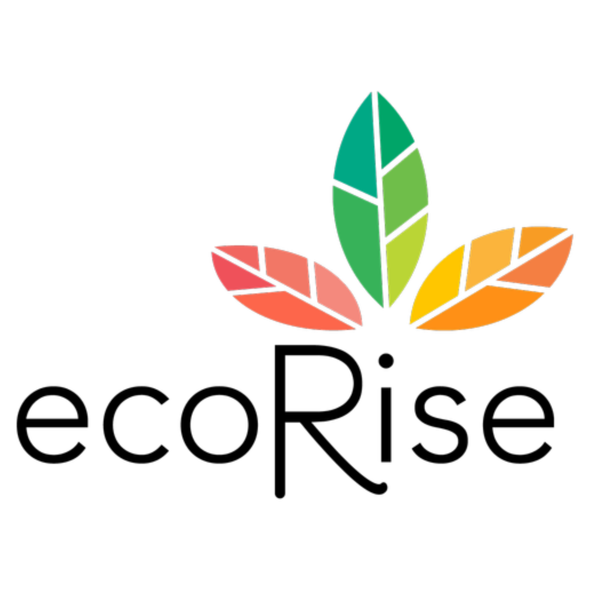 Partner Highlight: EcoRise and their mapping system Gen:Thrive