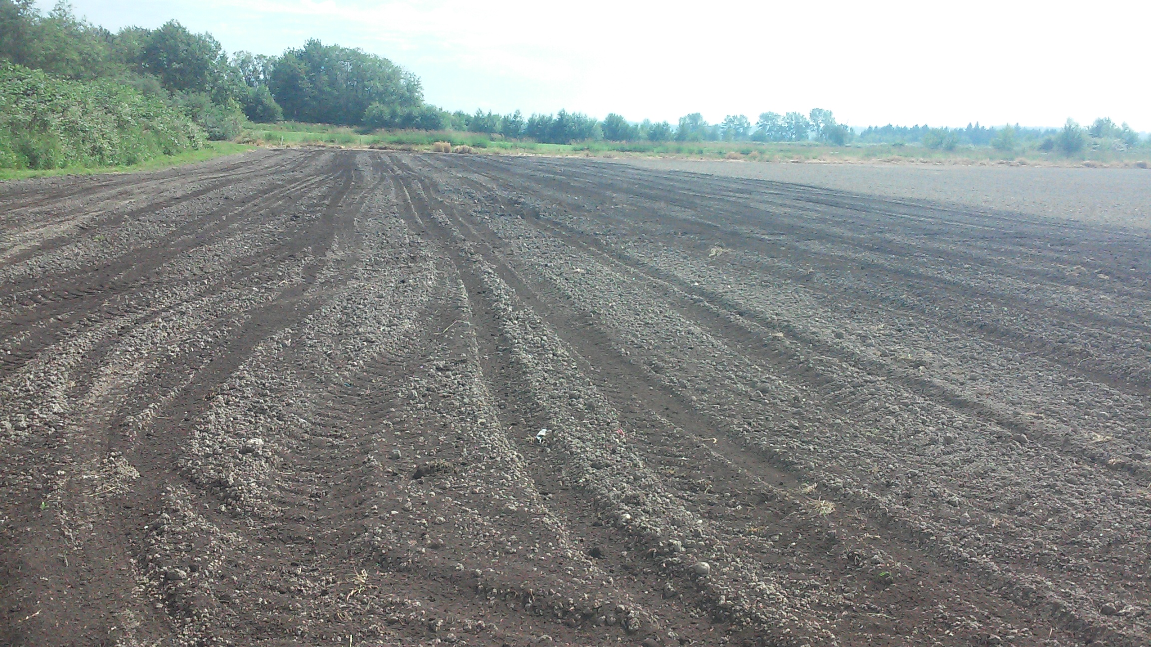 Carleton Farms in Lake Stevens, WA loaded with Cedar Grove Compost and ready to grow.