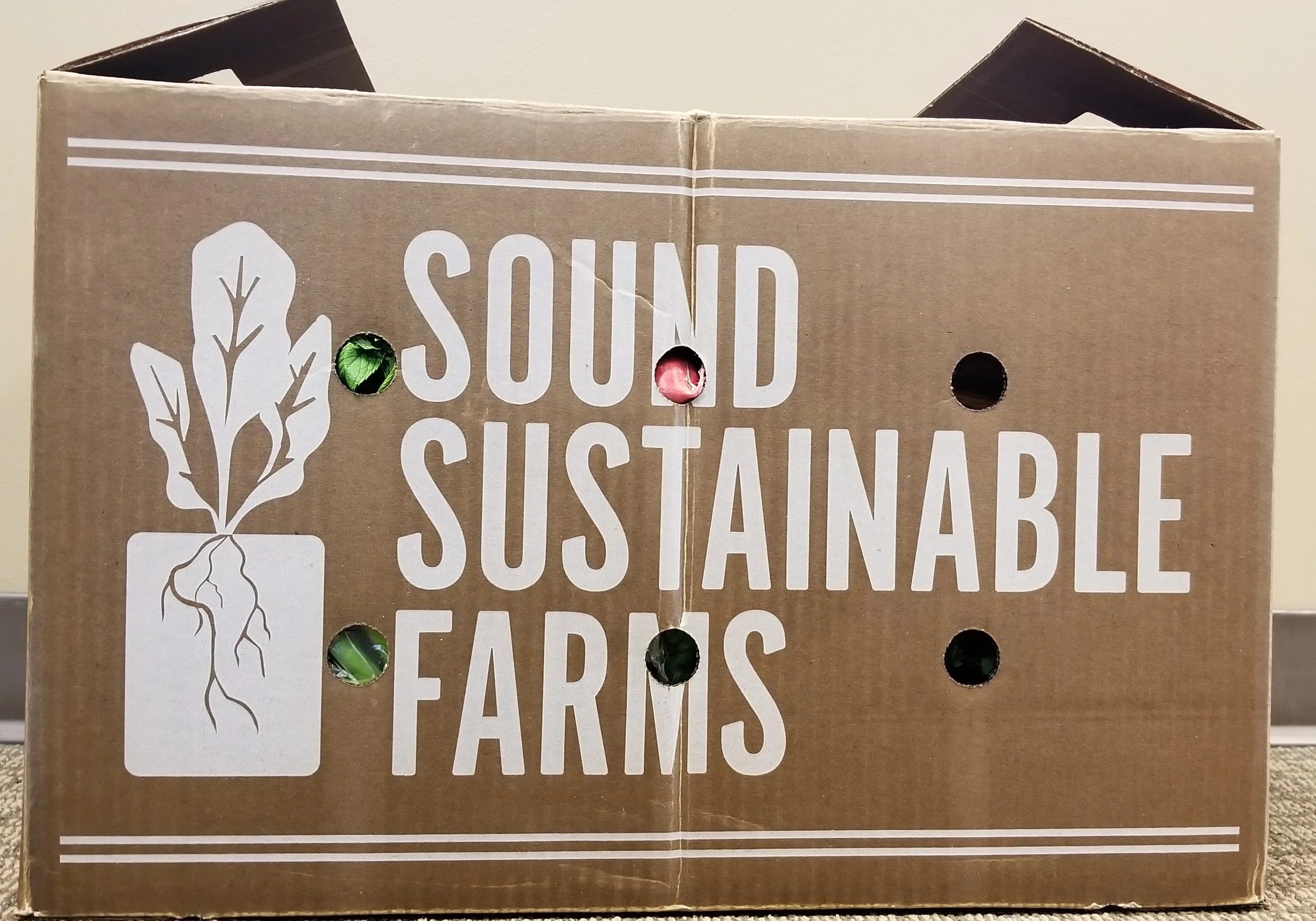 SSF Produce Box 2.jpg