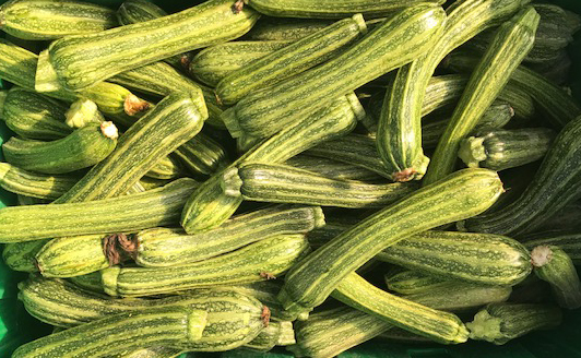 Zucchini.jpg