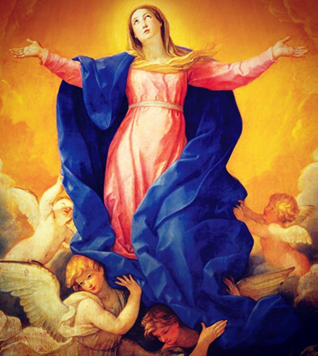 Remember: August 15 is the Feast of the Assumption of Our Lady, a Holy Day of Obligation for all Catholics.
In addition to our regularly scheduled daily Masses, there will also be a Vigil Mass on Wednesday at 5pm, a Mass at 12 noon on Thursday, and at 5pm on Thursday.
Which Mass will you be attending?