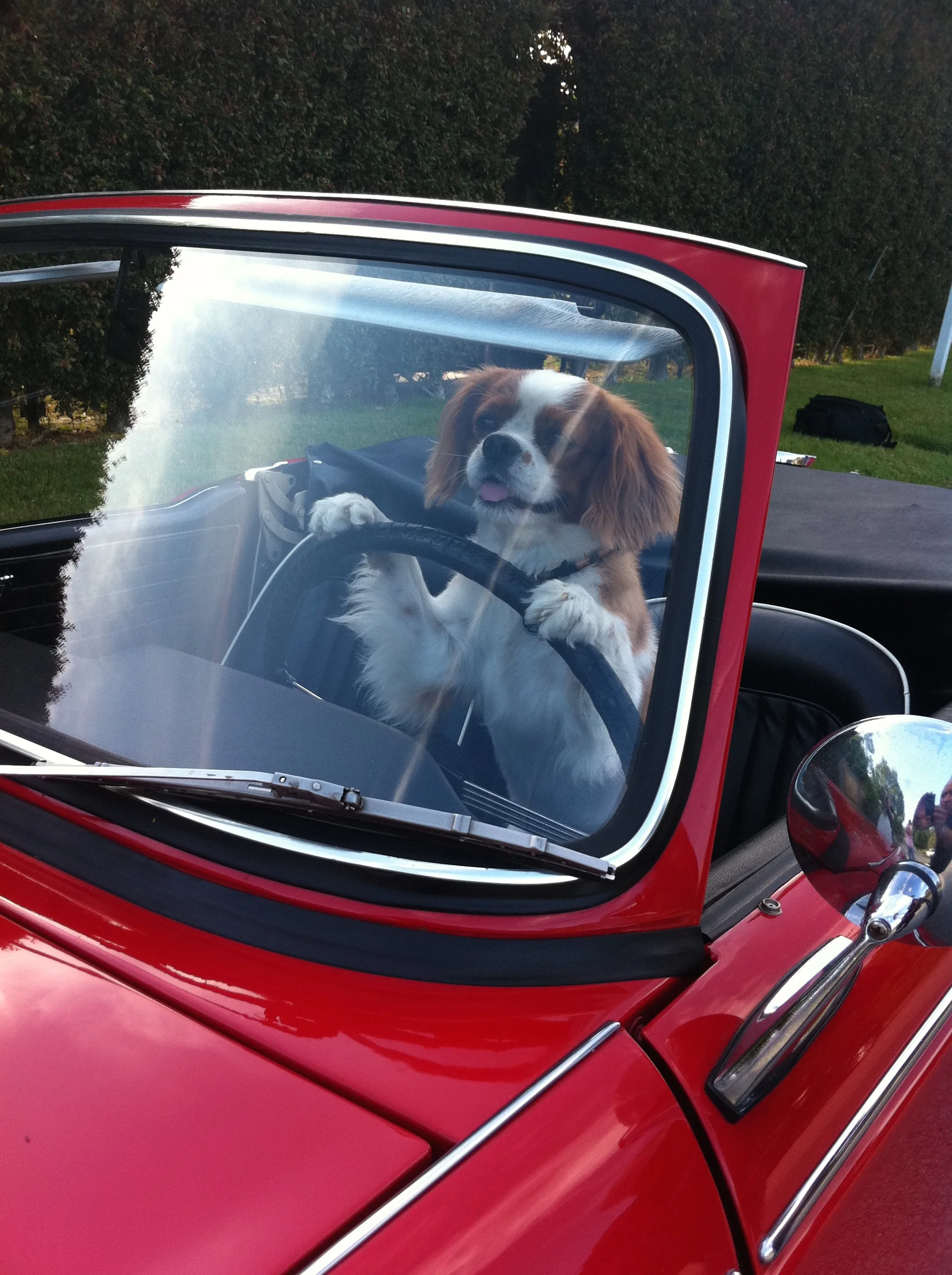 We get to location because of our great drivers... Kosmo