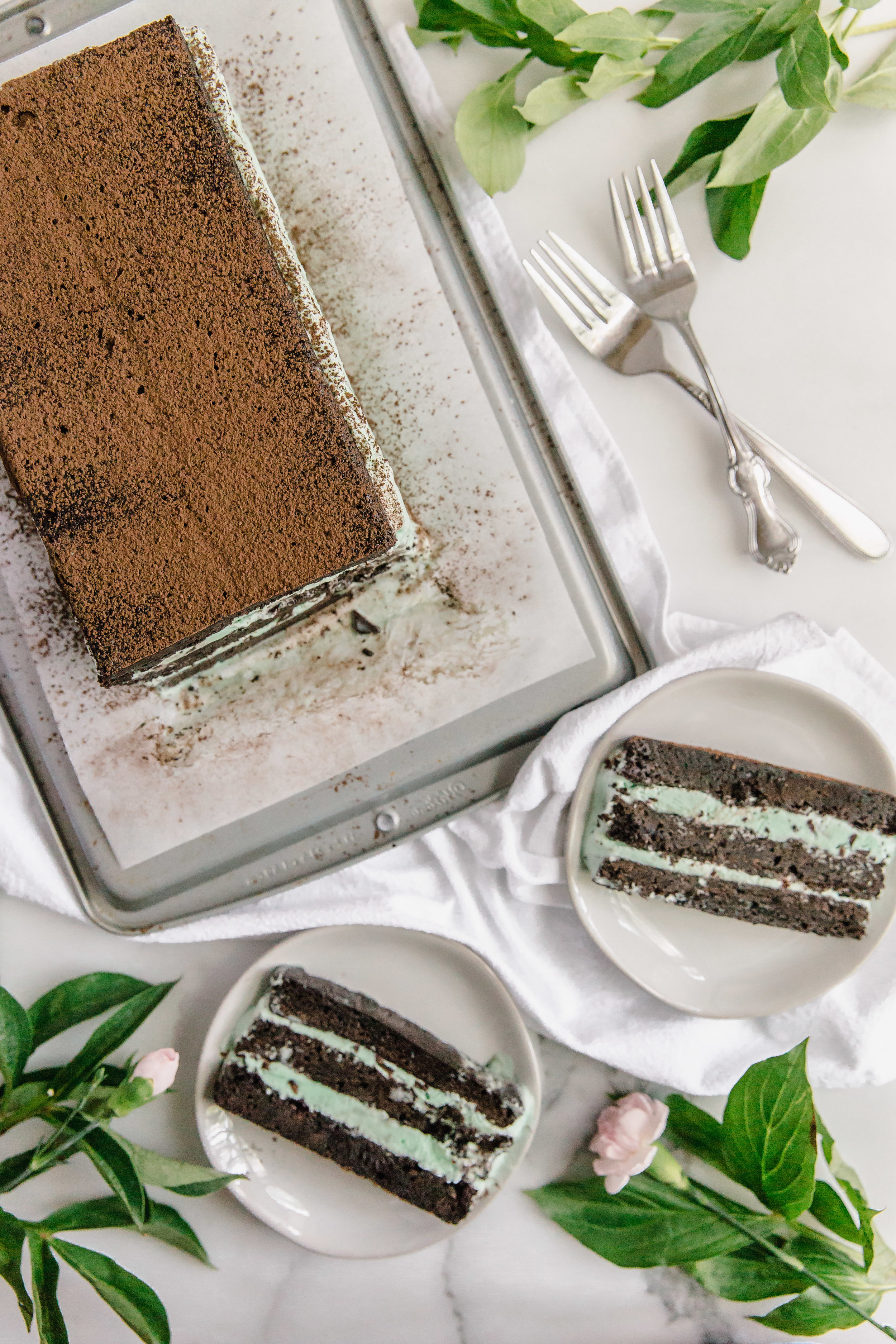 mint-ice-cream-brownie-cake-5.jpg